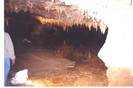 Cave 2; Actual size=240 pixels wide