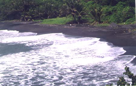 Black sand beach; Actual size=240 pixels wide