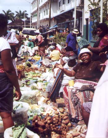 Market; Actual size=240 pixels wide